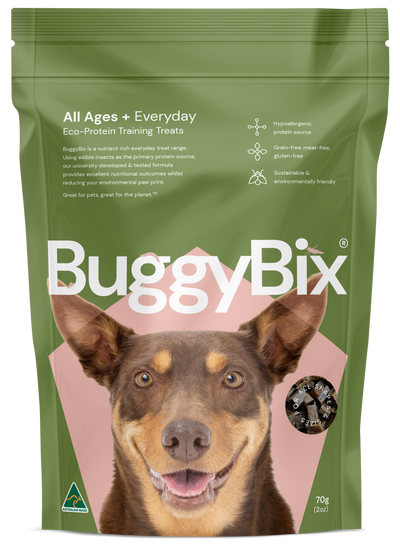 Everyday Training Treats (70g)